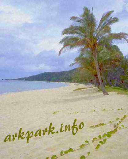 ARKPARK.INFO (Palm trees, beach, shore)